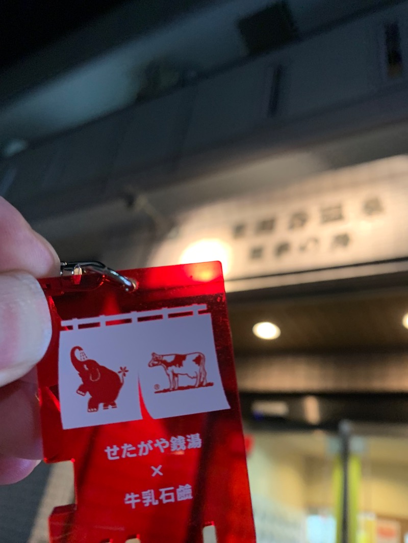 髭帽子さんの世田谷温泉 四季の湯のサ活写真