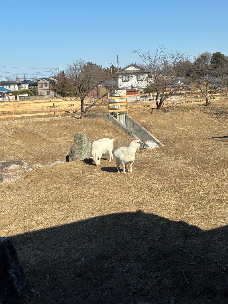 ちゃんみさんの花湯スパリゾートのサ活写真