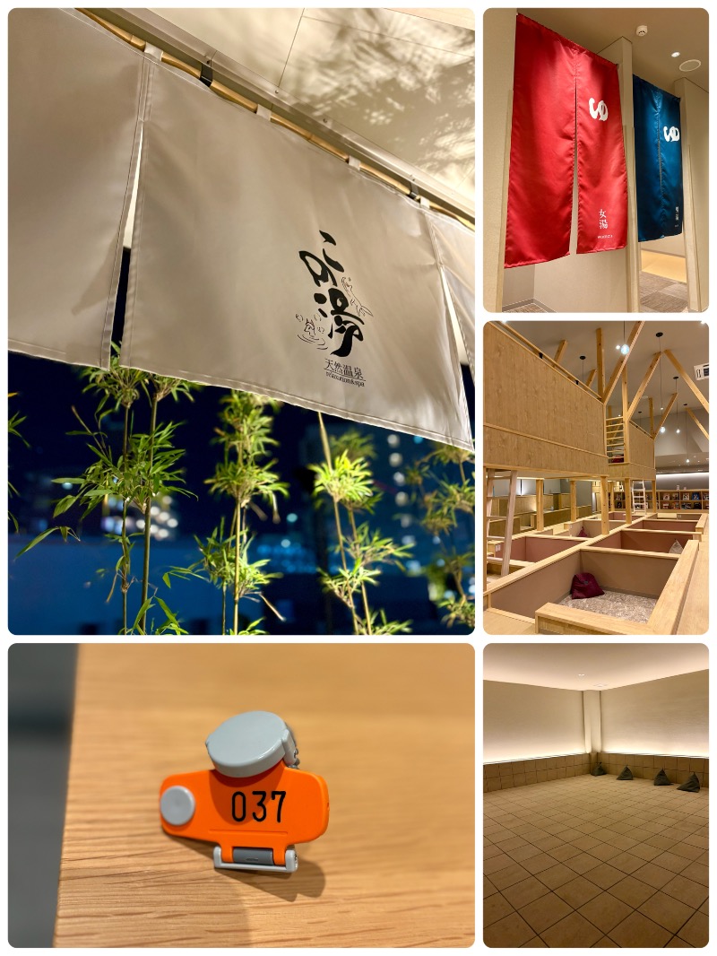 ぴのさんの天然温泉 この湯のサ活写真