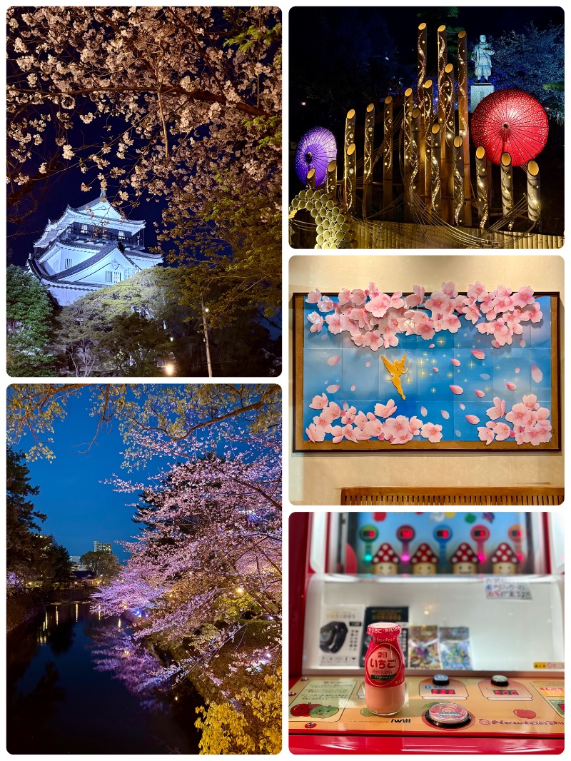 ぴのさんのスーパー銭湯 ふろ屋のサ活写真