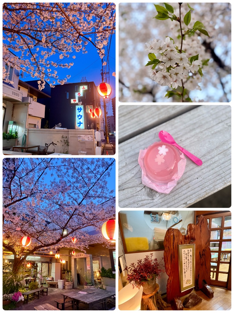 ぴのさんの富美の湯 (ふみのゆ)のサ活写真