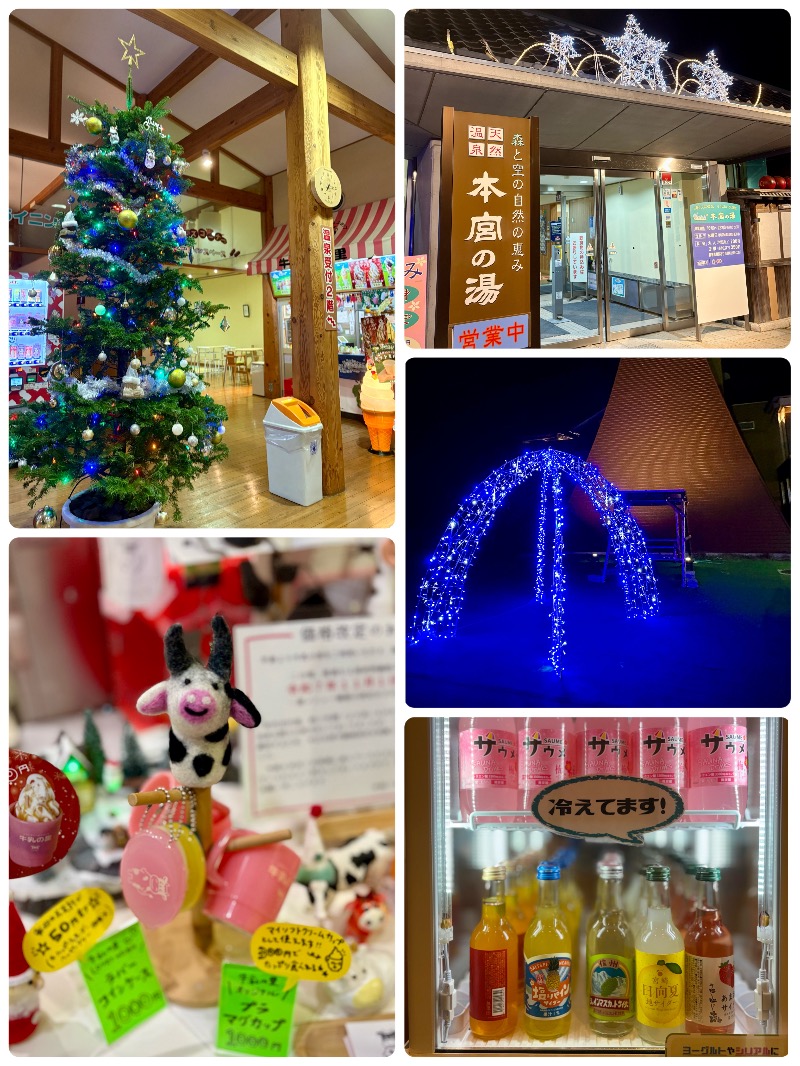 ぴのさんの天然温泉 本宮の湯のサ活写真