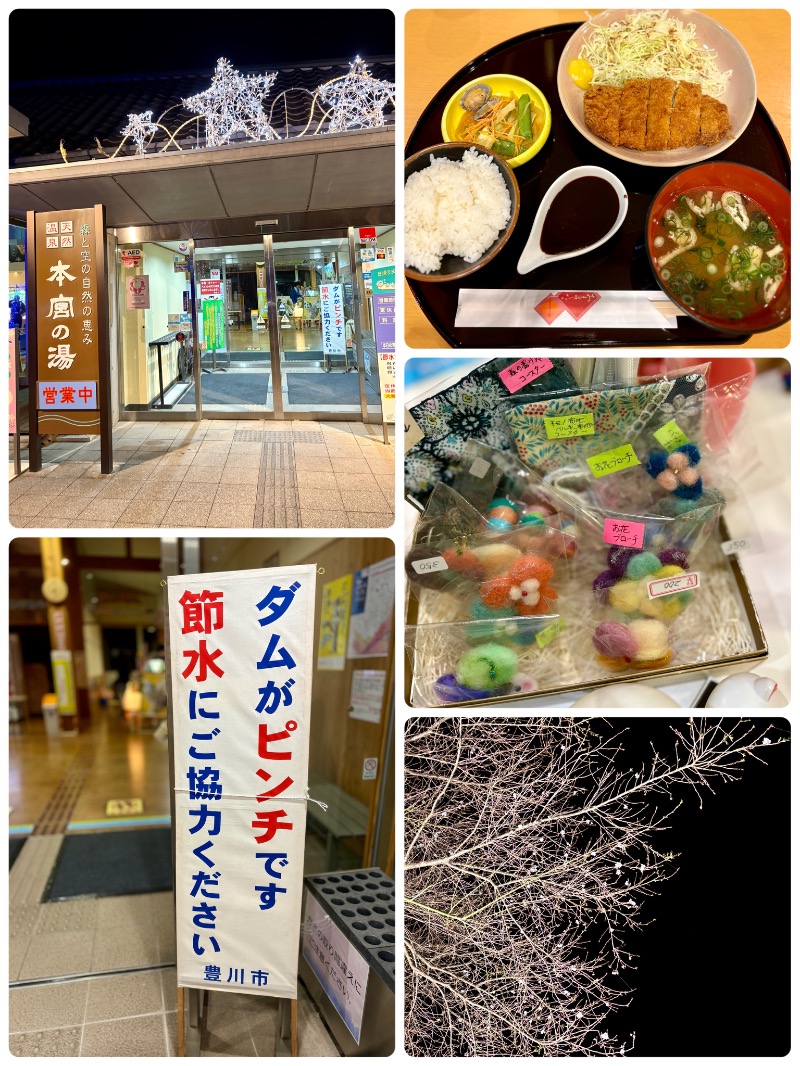 ぴのさんの天然温泉 本宮の湯のサ活写真