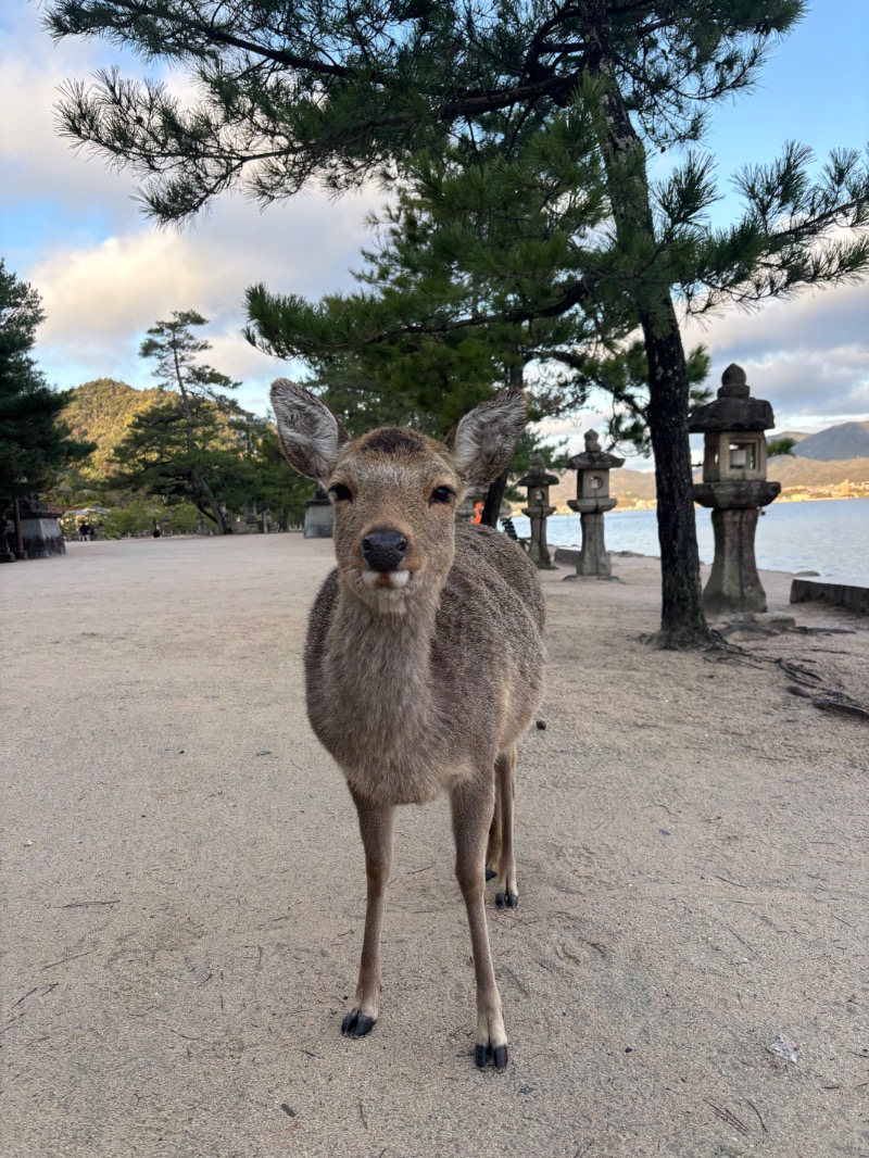 ととのいあざらしさんのグランヴィリオホテル宮島 和蔵のサ活写真