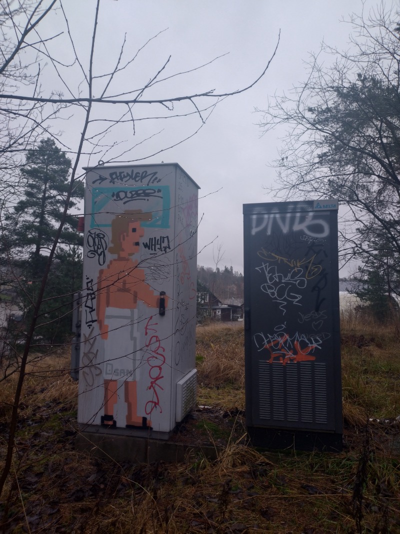 サイコさんのSompasaunaのサ活写真