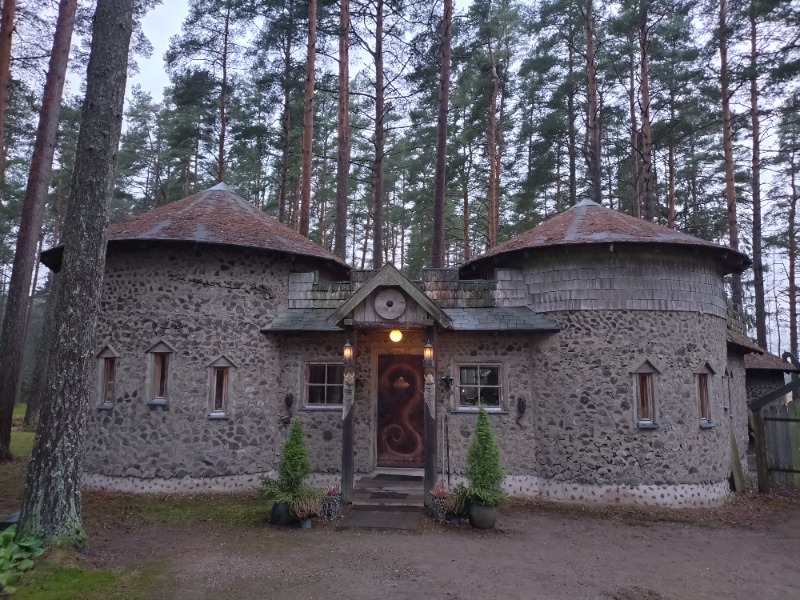 サイコさんのViking Sauna (バイキングサウナ)のサ活写真