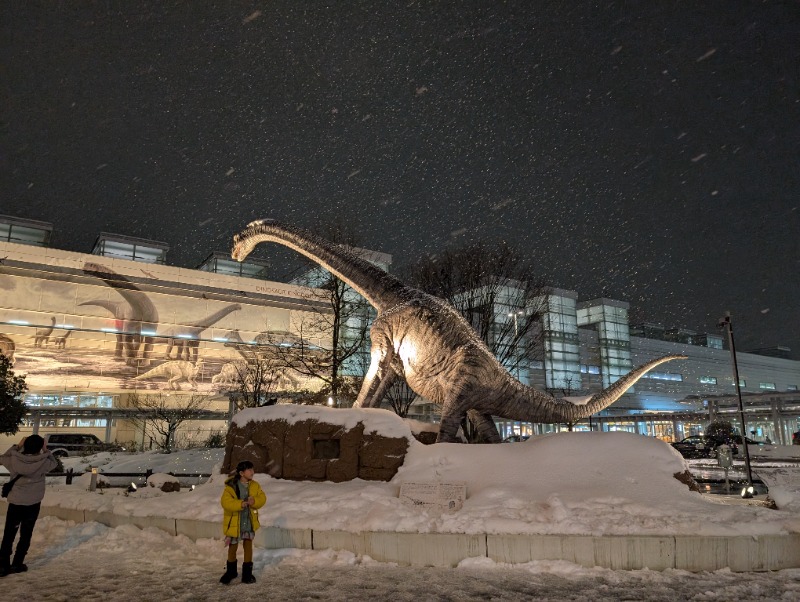 たみやさんの福井マンテンホテル駅前のサ活写真