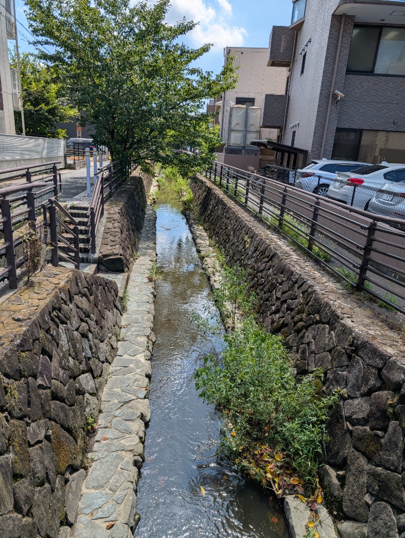たみやさんの今井湯のサ活写真