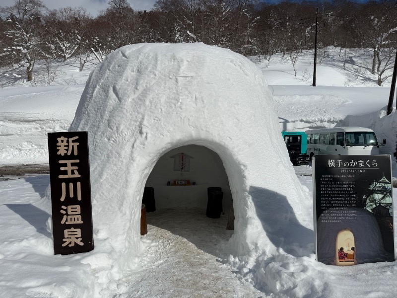 unknownさんの新玉川温泉のサ活写真