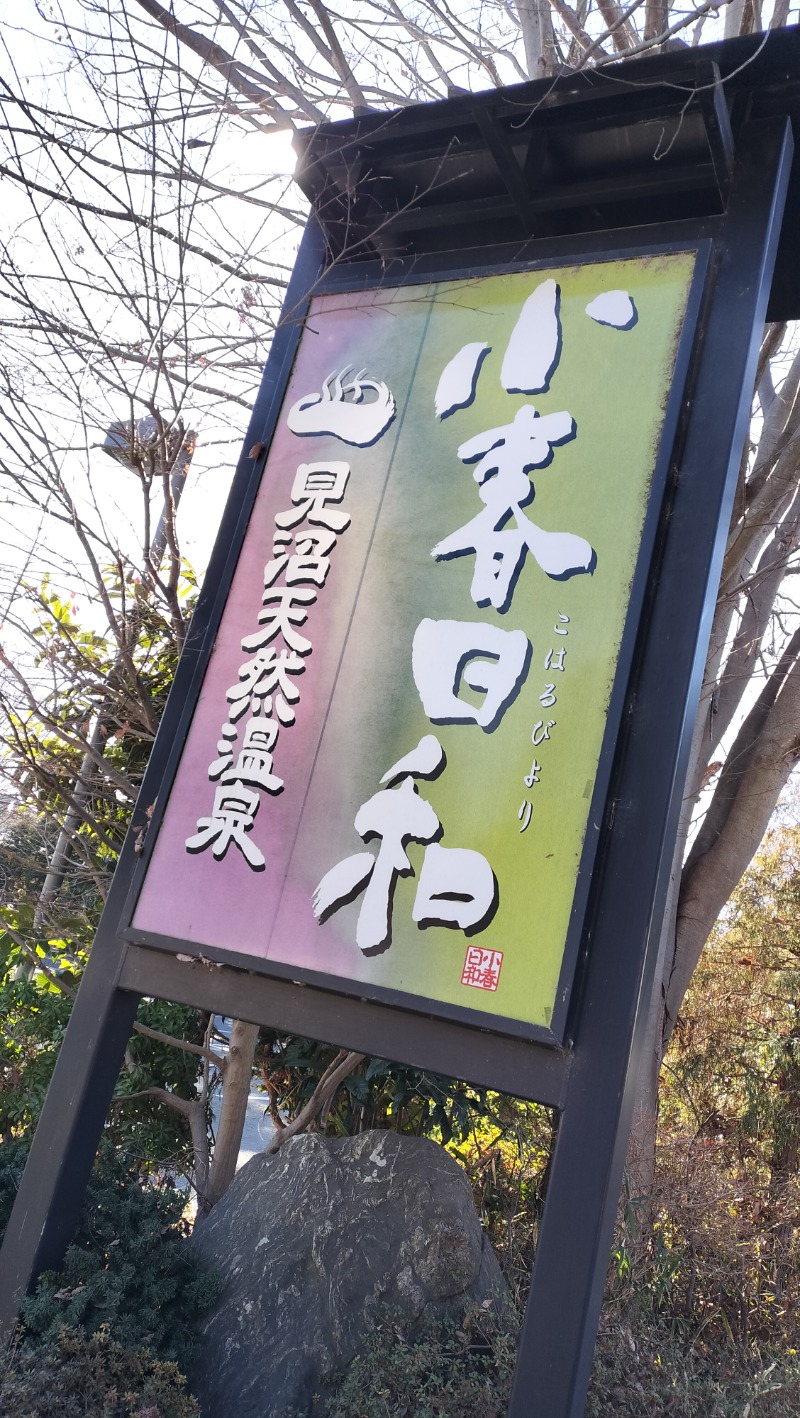 ShibaShin@Saunaさんの見沼天然温泉 小春日和のサ活写真