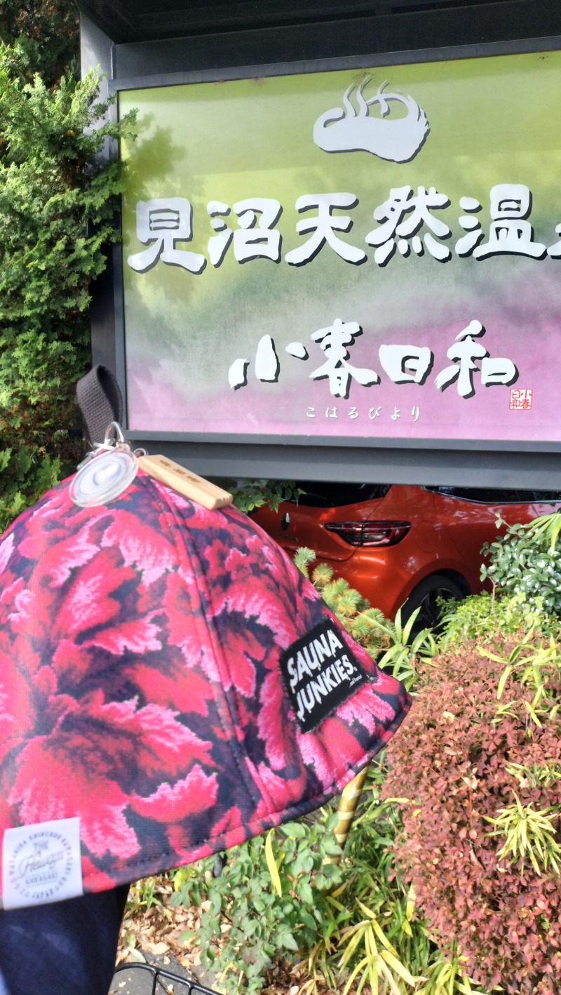 ShibaShin@Saunaさんの見沼天然温泉 小春日和のサ活写真