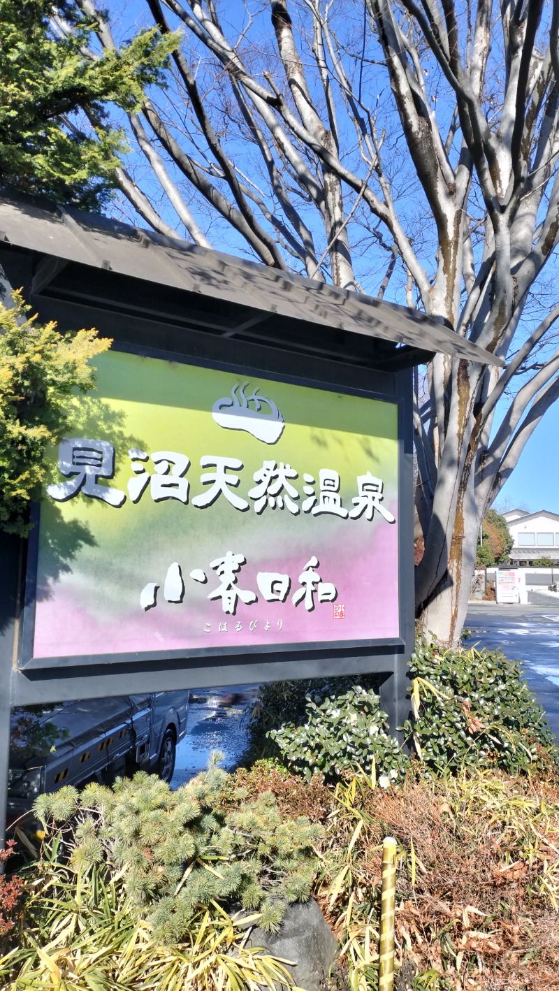 ShibaShin@Saunaさんの見沼天然温泉 小春日和のサ活写真