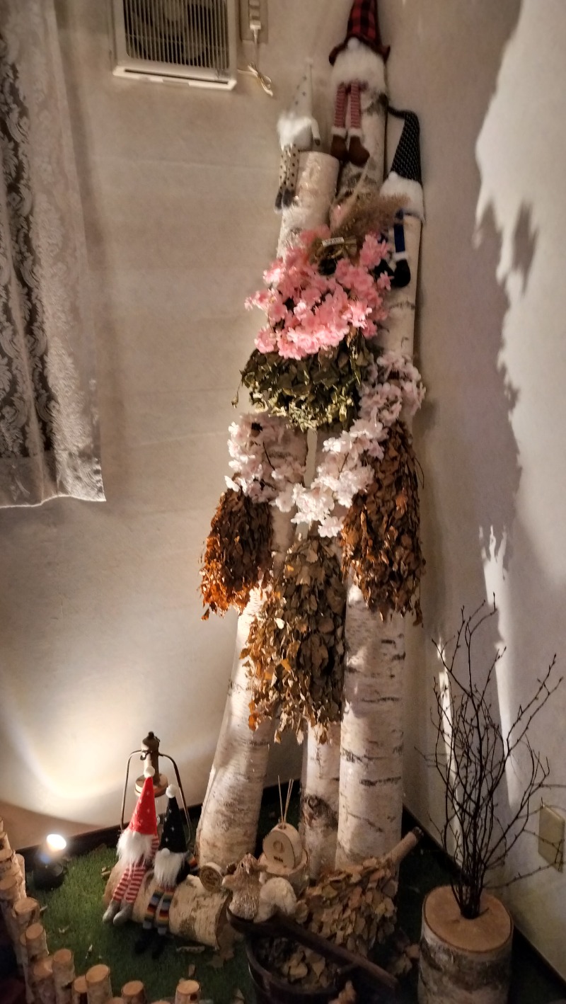 ShibaShin@Saunaさんの平和湯のサ活写真