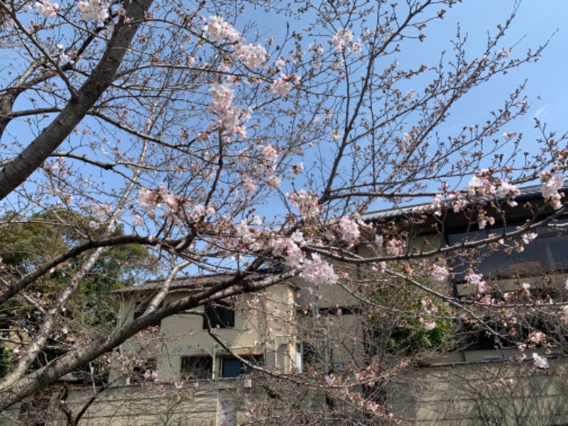 namiさんの山吹温泉のサ活写真