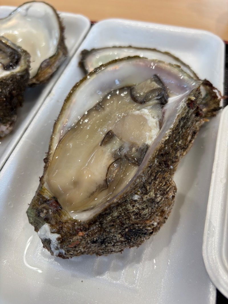 ちゃい君さんの道の駅 象潟 ねむの丘のサ活写真