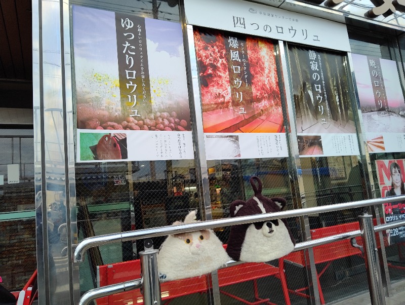 CoCoちん🐱👑👑さんの湯乃泉 草加健康センターのサ活写真