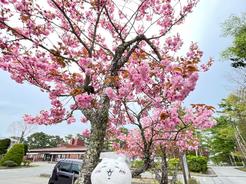 ＡＫＰさんのホテルマウント富士のサ活写真