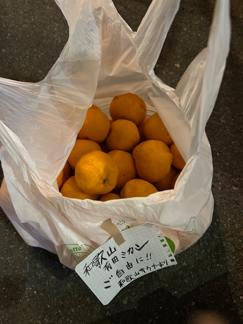 さうなぼーいさんのユートピア白玉温泉のサ活写真