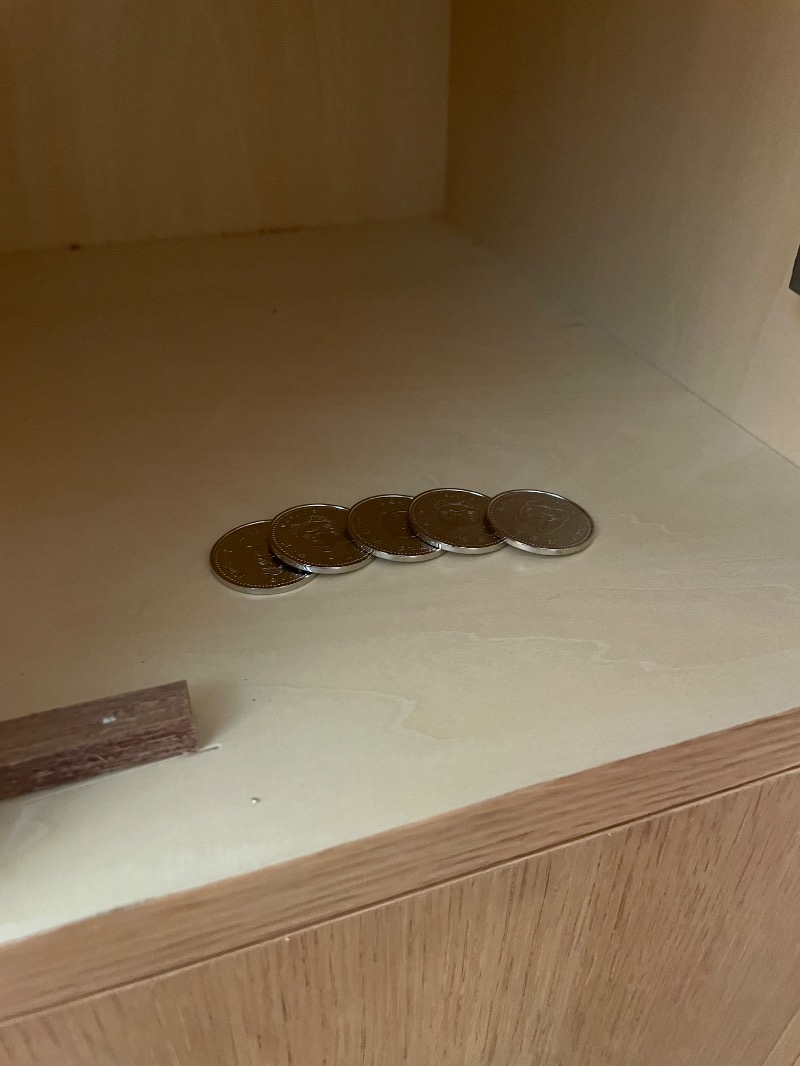 ねこの親さんの休日湯のサ活写真