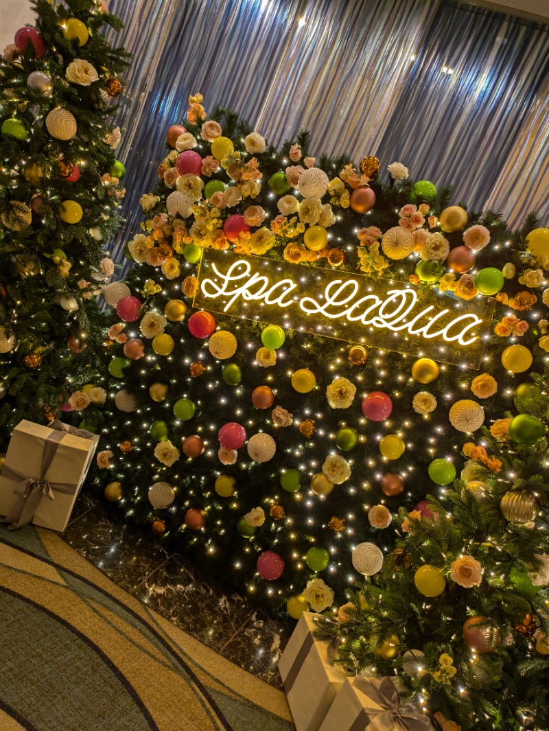 あーみーさんの東京ドーム天然温泉 Spa LaQua(スパ ラクーア)のサ活写真