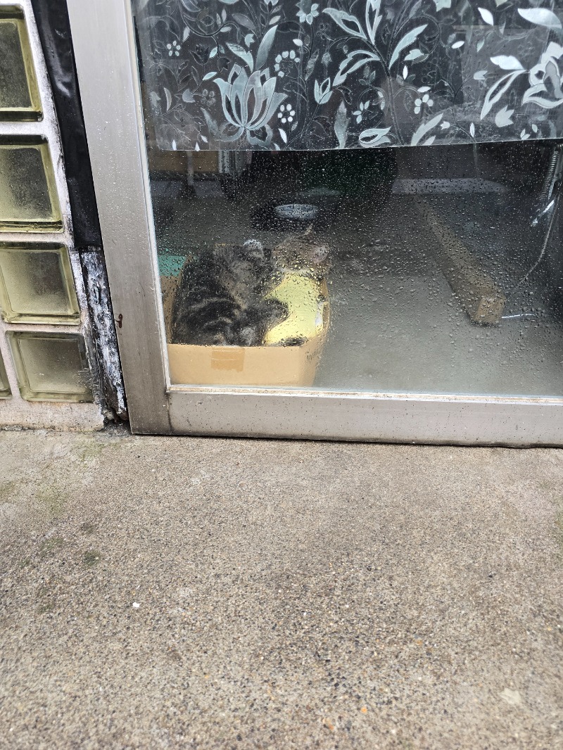 TONYUさんの黄金湯 新宿店のサ活写真