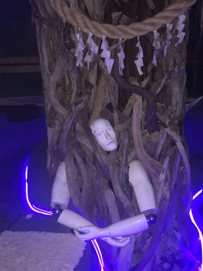 バルサさんのサウナ発達のサ活写真