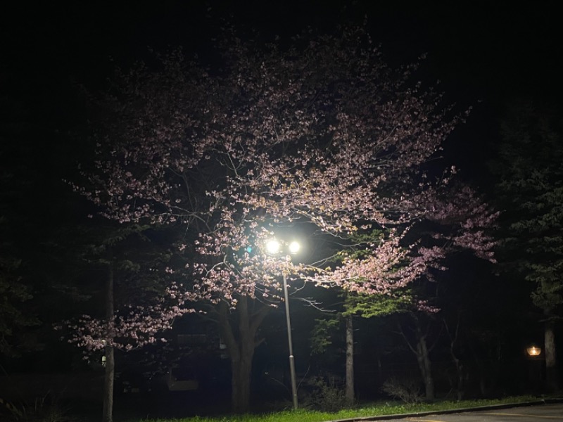週末サウナーfeat.zombieさんのひまわり温泉のサ活写真