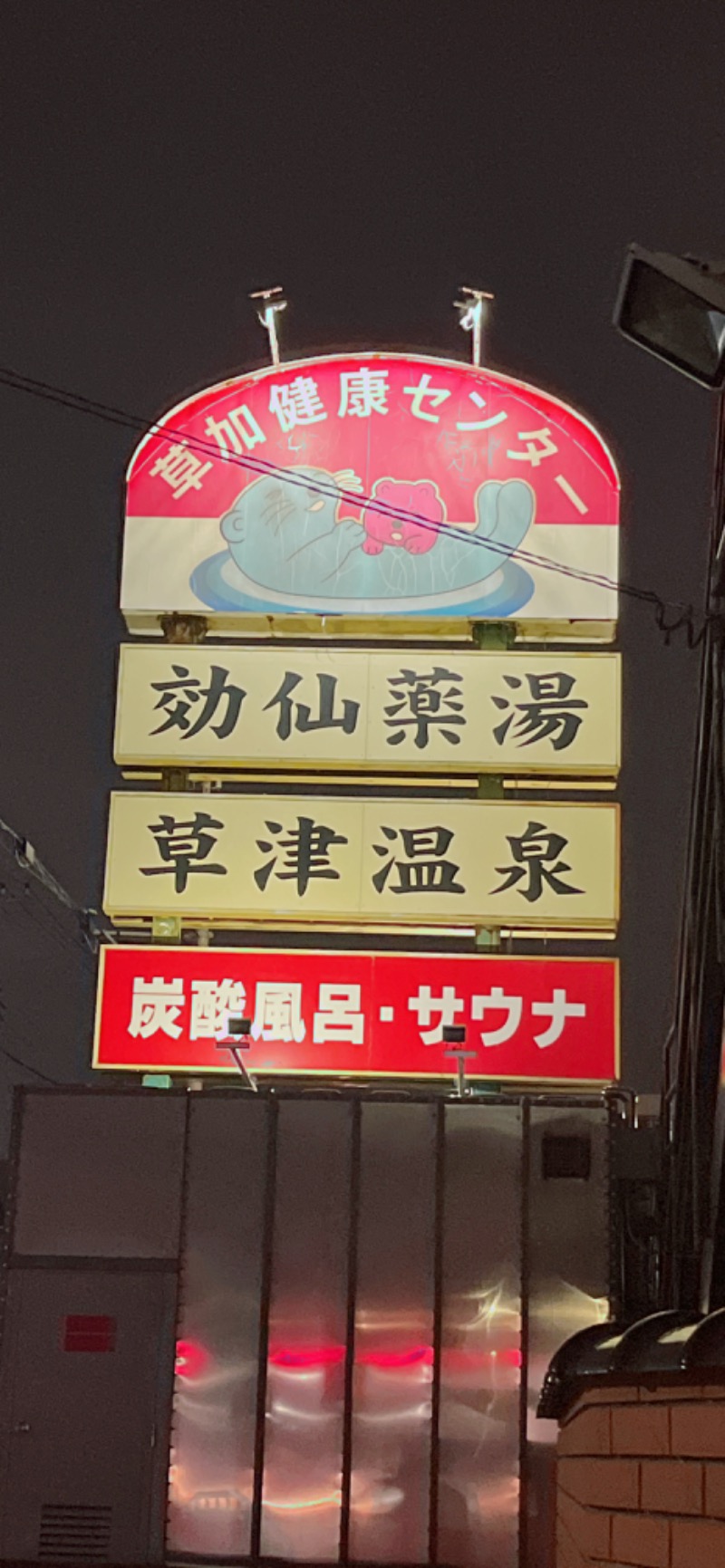 暇次郎さんの湯乃泉 草加健康センターのサ活写真