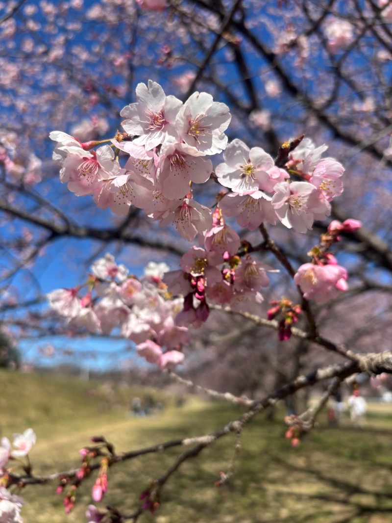 ばんちゃんさんのかんなの湯のサ活写真