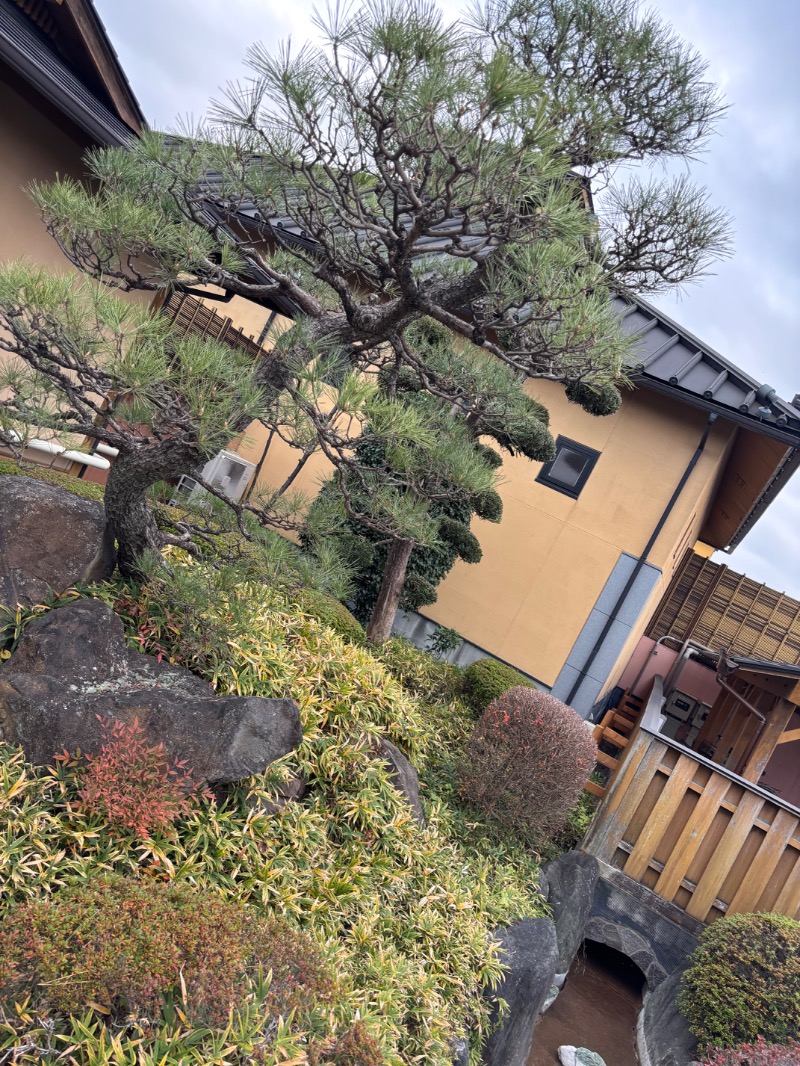 とにかくけだるいブラハマさんの栃木温泉 湯楽の里のサ活写真