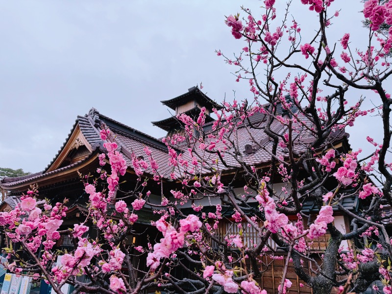 鍛高譚(たんたかたん)さんのリブマックスリゾート函館  グリーンピア大沼のサ活写真