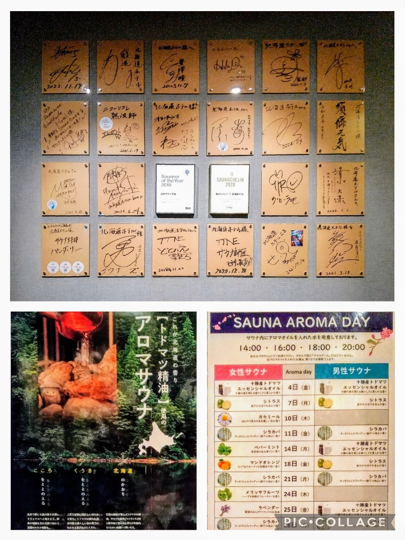 閻魔さんの森のスパリゾート 北海道ホテルのサ活写真