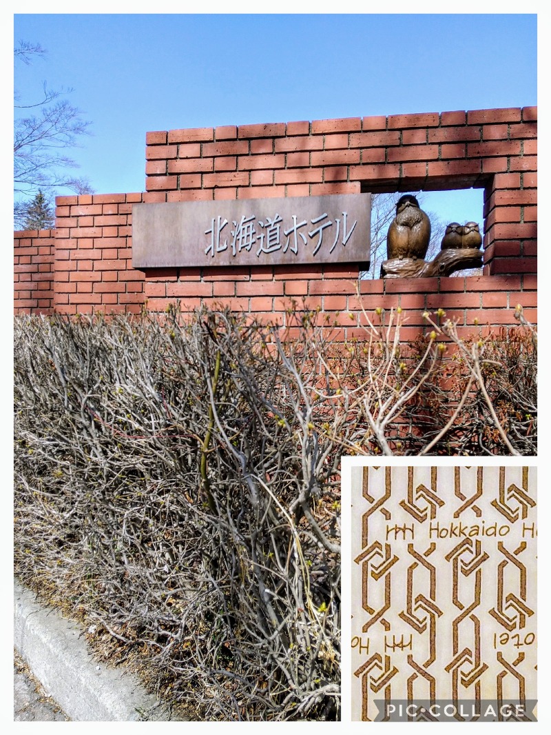 閻魔さんの森のスパリゾート 北海道ホテルのサ活写真