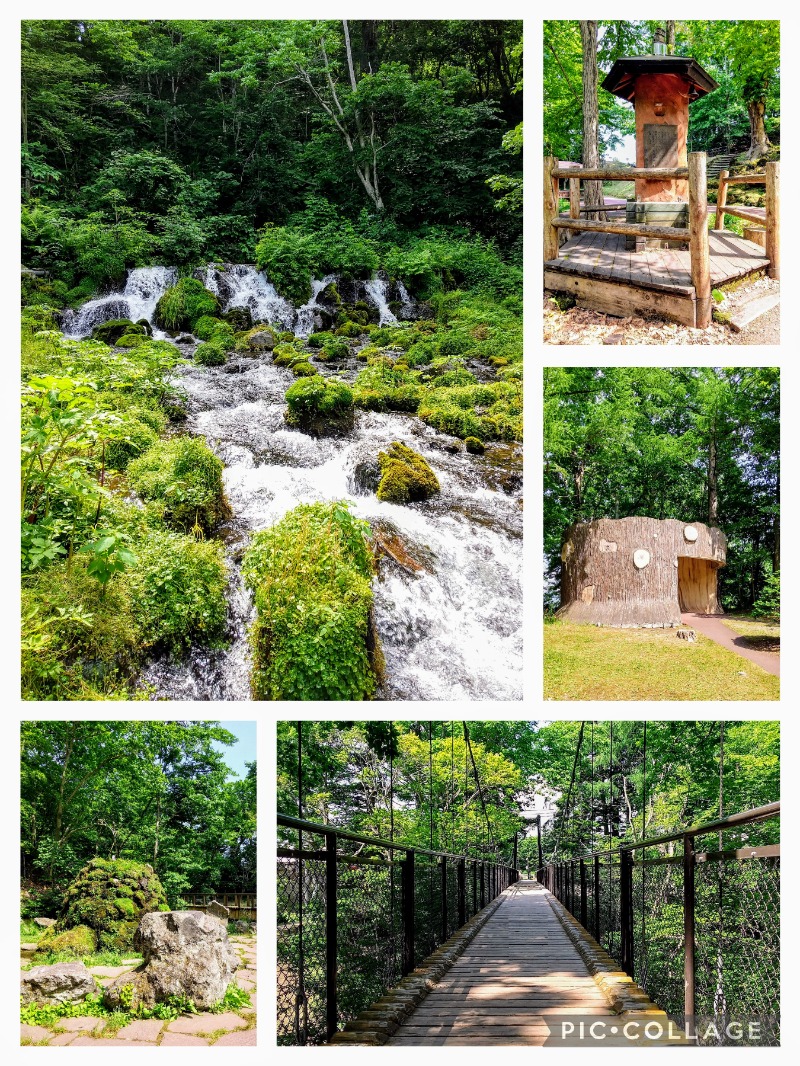 閻魔さんの京極温泉 京極ふれあい交流センターのサ活写真