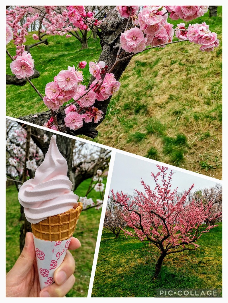 閻魔さんのプレミアホテル-CABIN-札幌のサ活写真