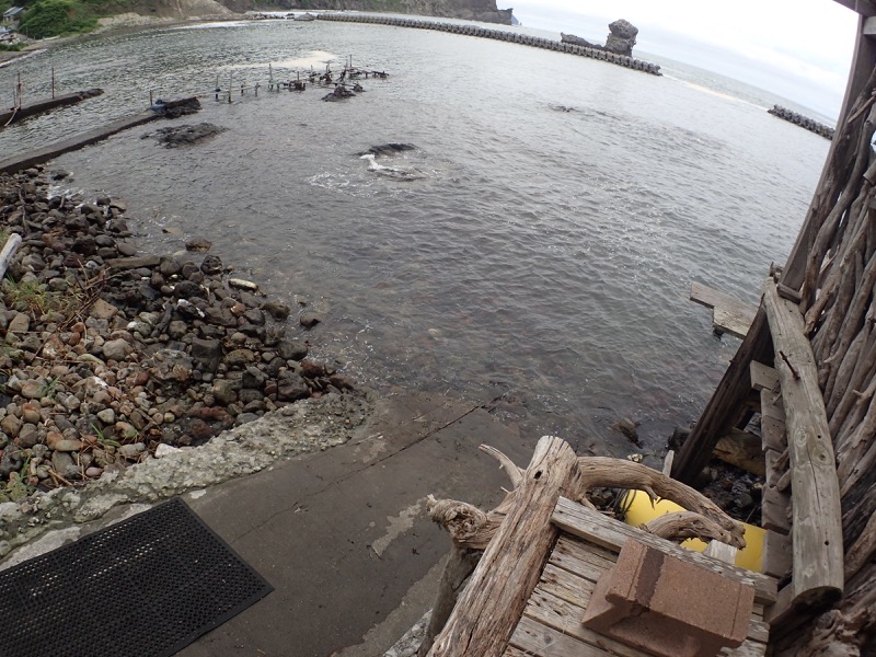 ビスカッチャさんのsea sauna流木の家 (しゃこたん)のサ活写真