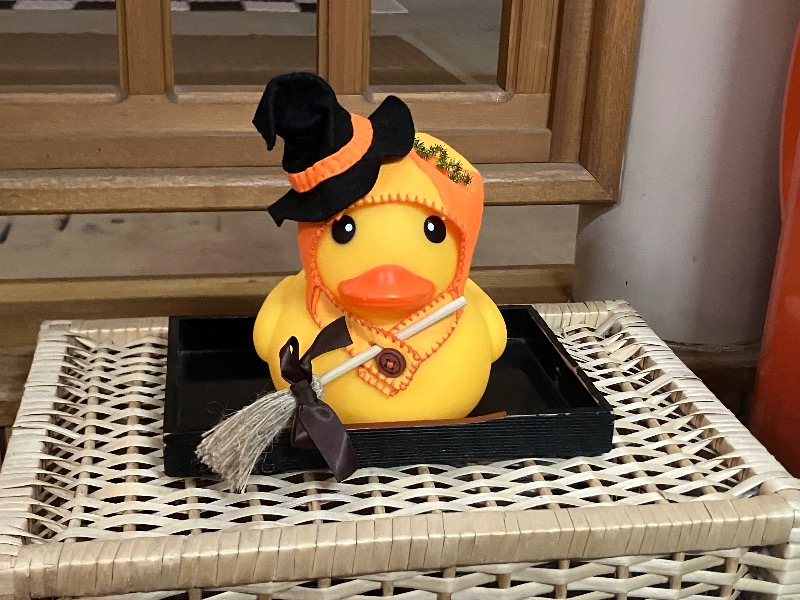 文鳥丸さんの元気人村のサ活写真