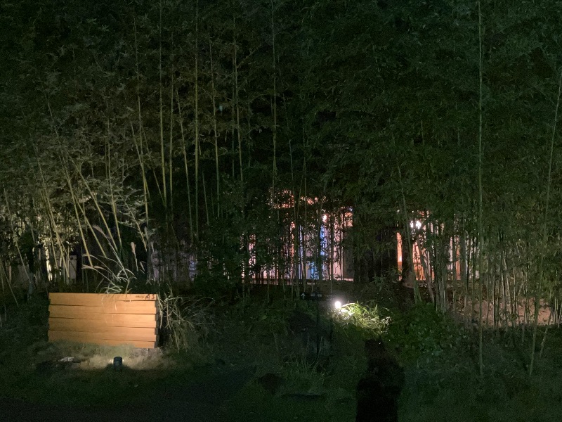 文鳥丸さんのオーベルジュ内子のサ活写真