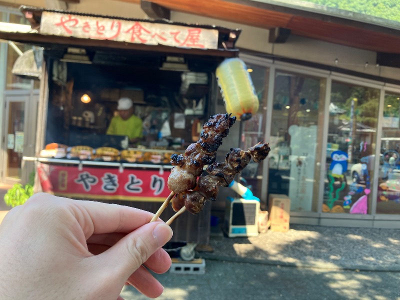 文鳥丸さんの大洲市交流促進センター 鹿野川荘のサ活写真