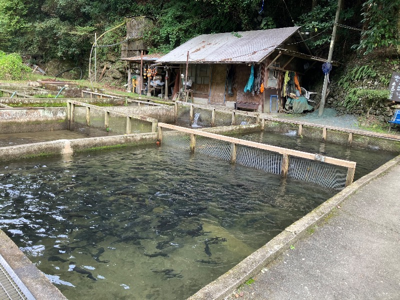 文鳥丸さんの大洲市交流促進センター 鹿野川荘のサ活写真