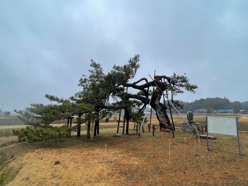 灼熱商社マンさんのビジネスホテル高見のサ活写真