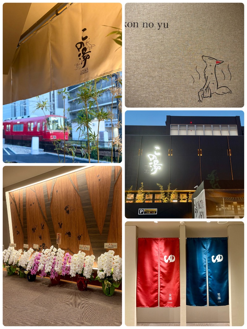 ぴのさんの天然温泉 この湯のサ活写真