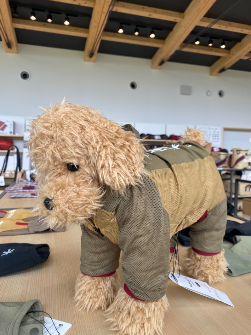 スイミーさんのスノーピーク鹿沼キャンプフィールド&スパのサ活写真