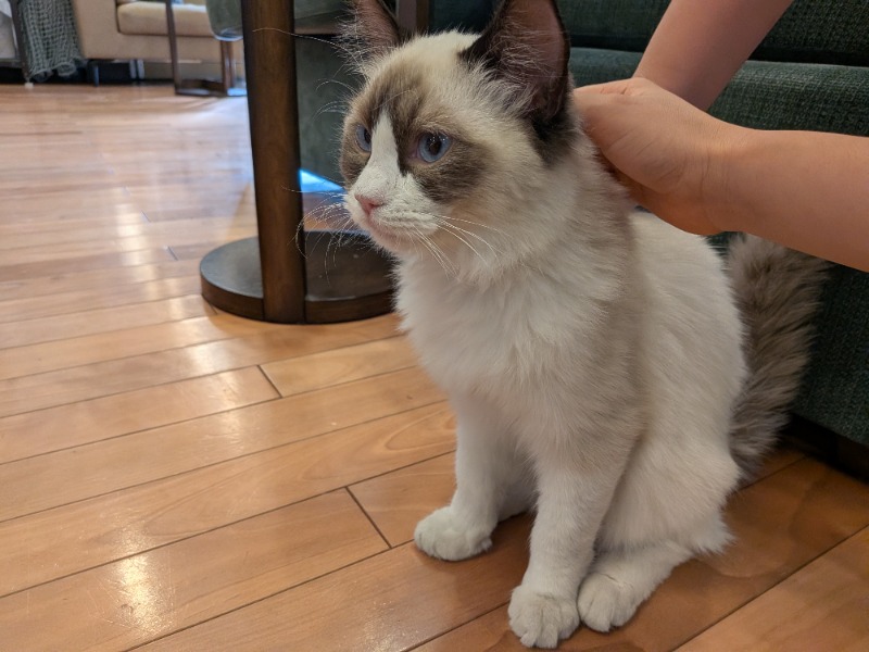 ライズさんの行田・湯本天然温泉 茂美の湯のサ活写真