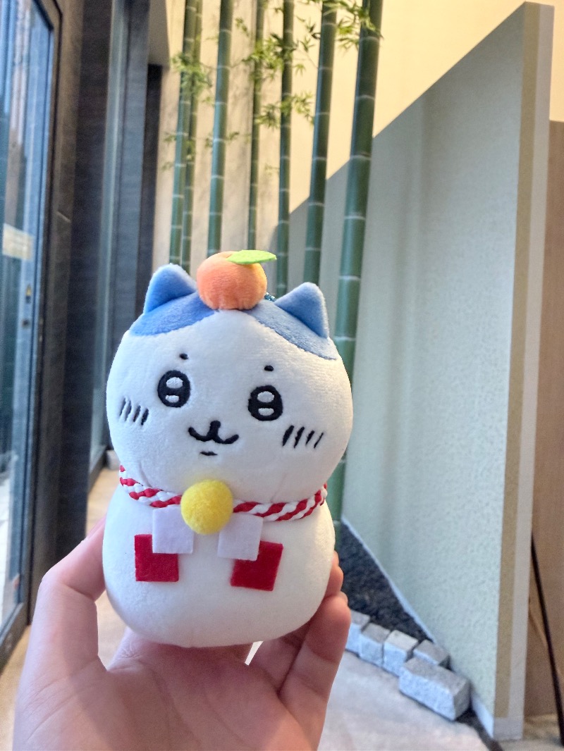 なしえさんの朝霞サウナ 和(なごみ)のサ活写真