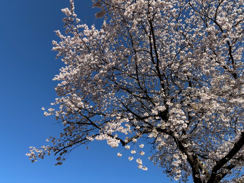 波五郎（alohasufer ）さんの船津温泉休養施設「芙蓉の湯」のサ活写真