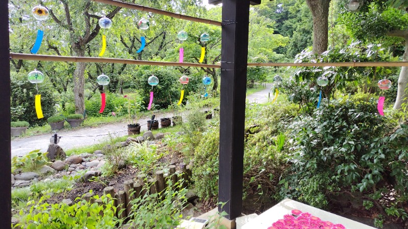 ちょびちょびすけさんのよみうりランド眺望温泉 花景の湯のサ活写真