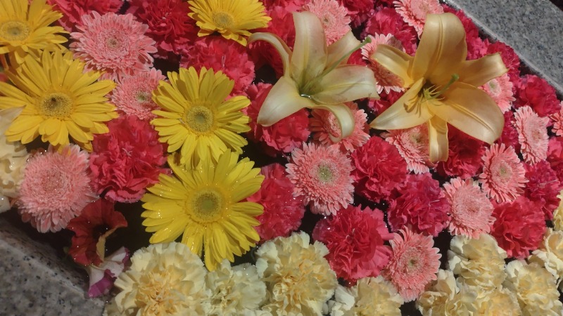 ちょびちょびすけさんのよみうりランド眺望温泉 花景の湯のサ活写真