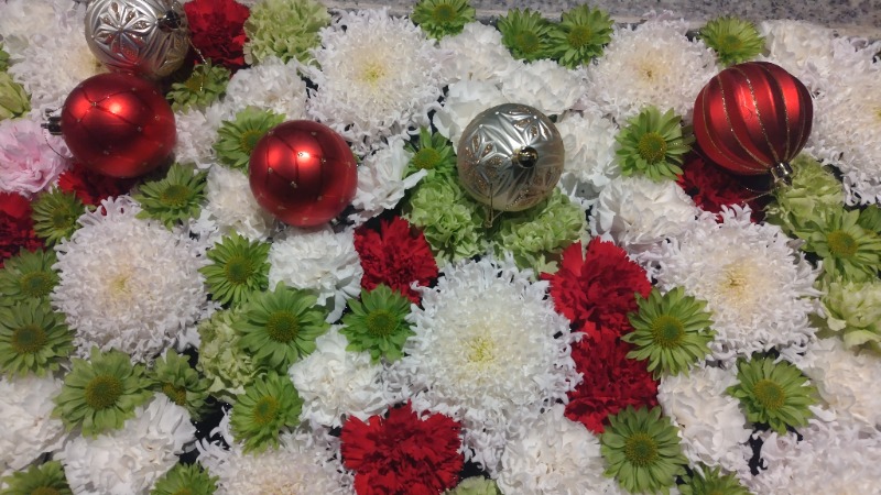 ちょびちょびすけさんのよみうりランド眺望温泉 花景の湯のサ活写真