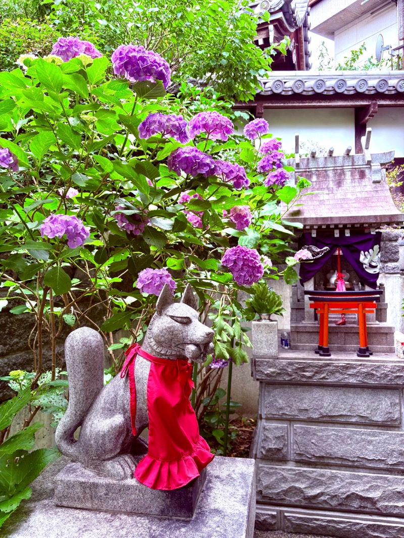 よごにゃんさんのみうら湯 弘明寺店のサ活写真